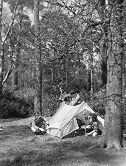 Forest Prints: Boy Scouts gaining their foresters badge at Gosforth Park in Newcastle