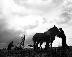 Fields Prints: Brain Randle - Story from Trump of Taunton 18th World Ploughing Contest