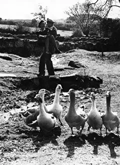 Core53 Prints: The bride and groom disturbed the geese on the village green when Lieut Charles Henry