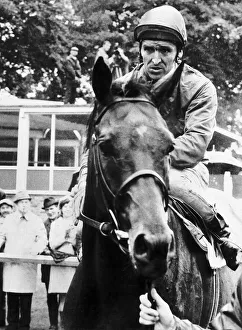 Horses Prints: Brigadier Gerard and Joe Mercer after winning the 1972 Eclipse Stakes at Sandown 8th July