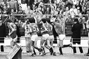 00382 Prints: Brighton & Hove Albion v Manchester United FA Cup Final at Wembley Stadium