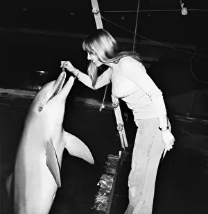 BrightonIs Dolphinarium: Baby the youngest dolphin at BrightonIs Dolphinarium was
