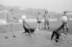 Skill Prints: Bristol City football manager Allan Dicks with Scotts Amazing Sea Lions at a photocall