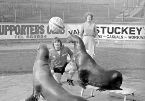 Bristol City football player Kevin Mabbutt heads the ball to a sea lion at a photocall