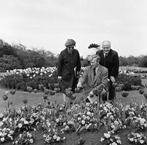 Images Dated 1st March 1971: Britain in Bloom judges in Redcar. 1971