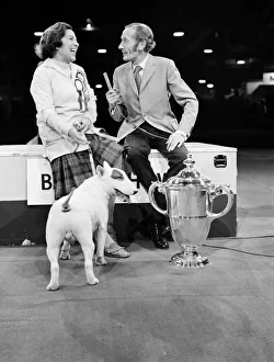 Britains top dog is white bull terrier - Champion Abraxas Audacity