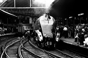 Core71 Prints: One of Britains fastest steam locomotives the Sir Nigel Gresley stops