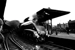 One of Britains fastest steam locomotives the Sir Nigel Gresley stops