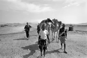 British Army in Aden with locals and a camel. April 1966 W4001b-006