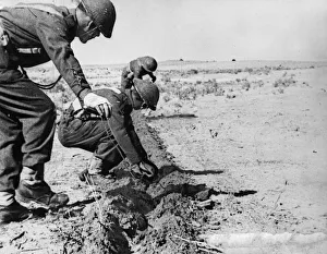 North Africa Prints: British Army soldiers of the Royal Corps of Signals Regiment