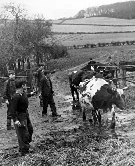 Farming Prints: British boys for British farms. The Open Door to an Agricultural Career has been