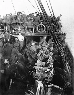 00472 Collection: British cavalry and horses on board ship on their way to France, August 1914