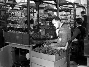 00081 Prints: British Legion Poppy Factory. Getting ready for the rush at Richmond