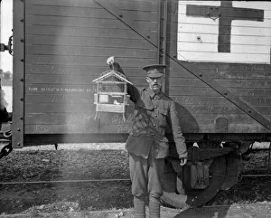 A British medical orderly seen here holding a bird donated by a French woman to