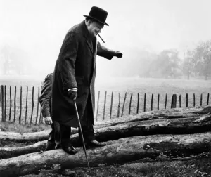 Walking Stick Prints: British Prime Minister Winston Churchill walking up one of the greasy inclined logs used