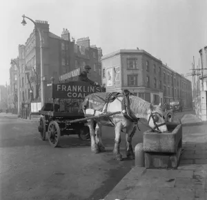 Bromley by Bow coal merchant Charles Franklin horses and cart delivery wagon takes a