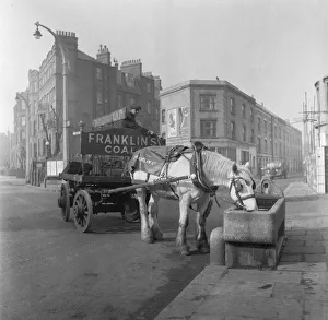 Bromley by Bow coal merchant Charles Franklin horses and cart delivery wagon takes a