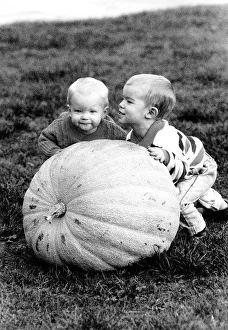 Fruit Prints: Brothers Jake Hawkins 3 and Sam Hawkins 1 with their Giant Pumpkin Vegetables