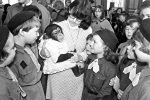 Brownies Prints: Brownies visiting the leamington division Guides and Brownies Autumn fair meet