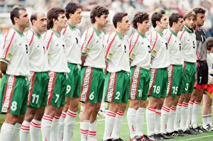Bulgaria 1-0 Romania, Euro 1996 Group B match at St James Park, Newcastle