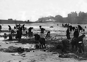 Sacks Prints: A busy scene on the beach at Roker, where large quantities of sea coal have been washed