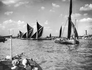 A busy scene on the River Thames where an unusual number of barges realeased from
