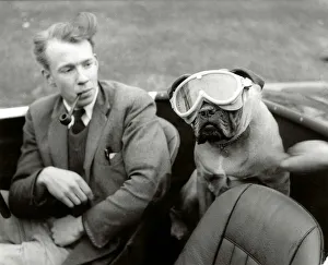 Goggles Prints: You can now buy doggie goggles to protect motoring pets eyes from dust Man smoking