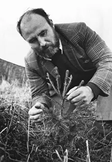 Trees Prints: Bill Byrne, Woodlands manager on the Earl of Derbys Knowsley Park Estate
