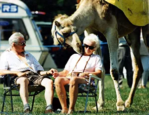 Camel - Enid Beynon and Cecil Long get some attention from Topsy the camel at St Mellons