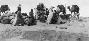 A camel supply column loading up near the rail head in the Egyptian Sinai desert for a