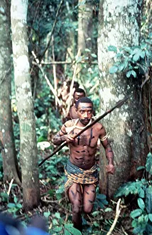 Cameroon warriors tribesmen with spears Baka hunters on trail of monkeys in rain forest