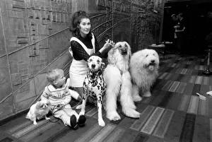 00032 Prints: Canine stars of the Film and Television. Also pictured with Hotara 2 1 / 2 year old