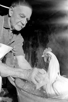 Captain Ellis Duckworth is 77 years old - he won his first poultry show prize in 1897