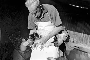 Captain Ellis Duckworth is 77 years old - he won his first poultry show prize in 1897