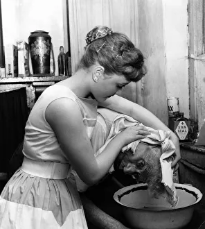 Bending Prints: Carol Fisher 15 from Pontypridd Flamorgan washes hair of neighbour Herbert Tilling 82