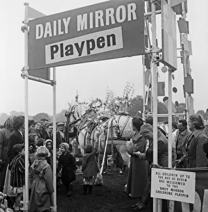 Altrincham Prints: A cart hourse pictured in the Daily Mirror Playpen at Altrincham agriculture show