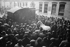 00519 Prints: Cart and Van Horse Auction, New Kent Road, London, circa December 1947
