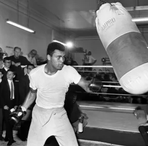 Portrait Posed Prints: Cassius Clay later to become Muhammad Ali training for his upcoming fight with Brain