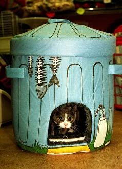 Hiding Prints: Cat toys for Christmas December 1997 dustbin cat bed Dofos pet shop