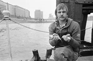Catch of the day. Old man Thames gave a rich harvest when fishermen at the Westminster