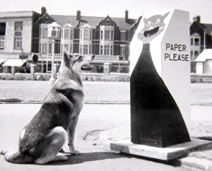 Cat'litter bins at Barry Island encourage visitors to keep the beaches clean