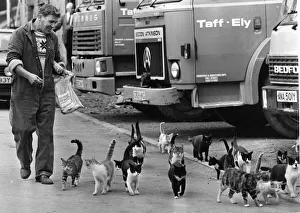 00172 Prints: Cats - Dai Inker, a yardman for the Taff Ely Council in Pontypridd