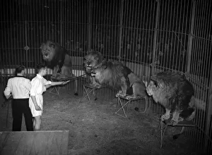 Lion Prints: Cedric Crossfields, the 15-year-old boy from Manchester who ran away from home to be a