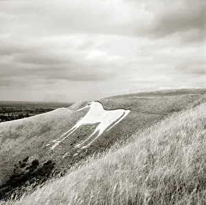 Landscape Prints: Chalk horse on hillside Dunstable Downs Bedfordshire hill