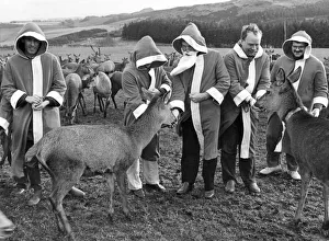 Charity fundraisers from Linlithgow Round Table with some of the deer at Beecraige
