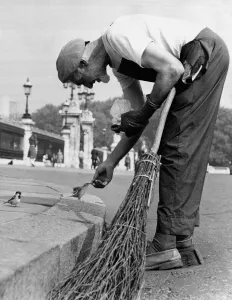 Wildlife Prints: Charles breaks off from sweeping the streets outside Buckingham Palace