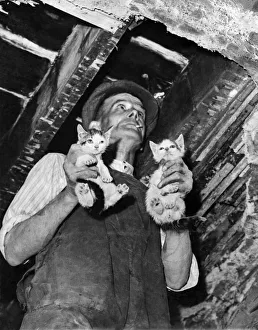 Kittens Prints: Charles Culverhouse bring out two kittens after tearing away the floorboards