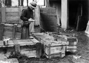 Checking the stones packed in cases from the dismantled Cooks Cottage at Great Ayton