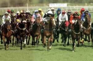 Cheltenham Festival 1990. Gold Cup Race won by 100 / 1 outsider Norton