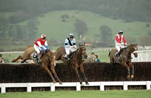 Cheltenham Festival 1990. Gold Cup Race won by 100 / 1 outsider Nortons Coin